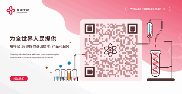 中国·壹定发|官方网站